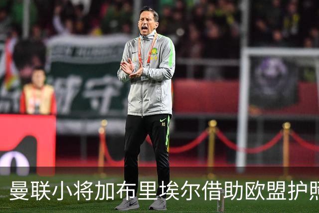 曼联小将加布里埃尔借助欧盟护照或将离队