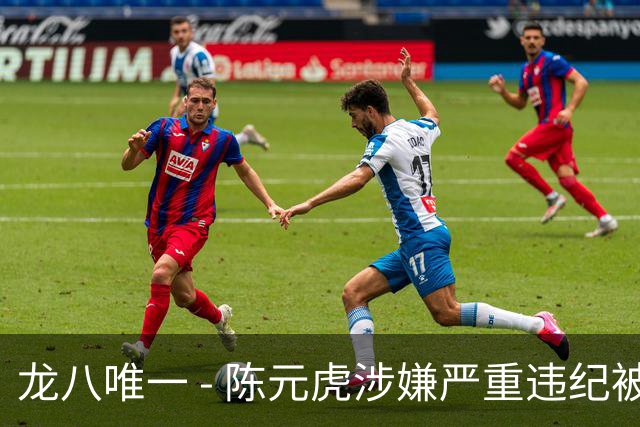 龙八唯一 - 陈元虎涉嫌严重违纪被调查，反腐斗争持续深入